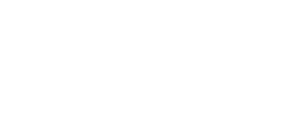 wileyx Logo